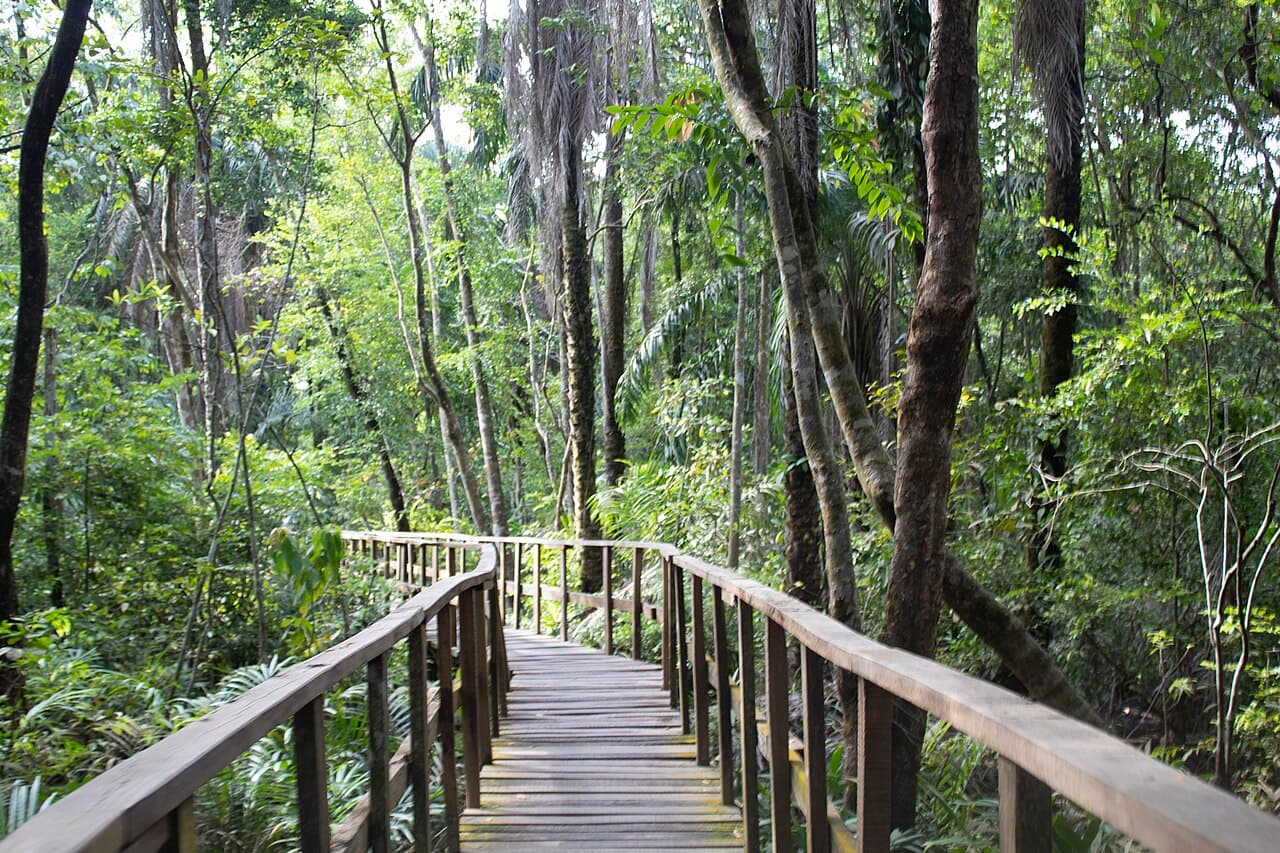 Lekki Conservation Centre