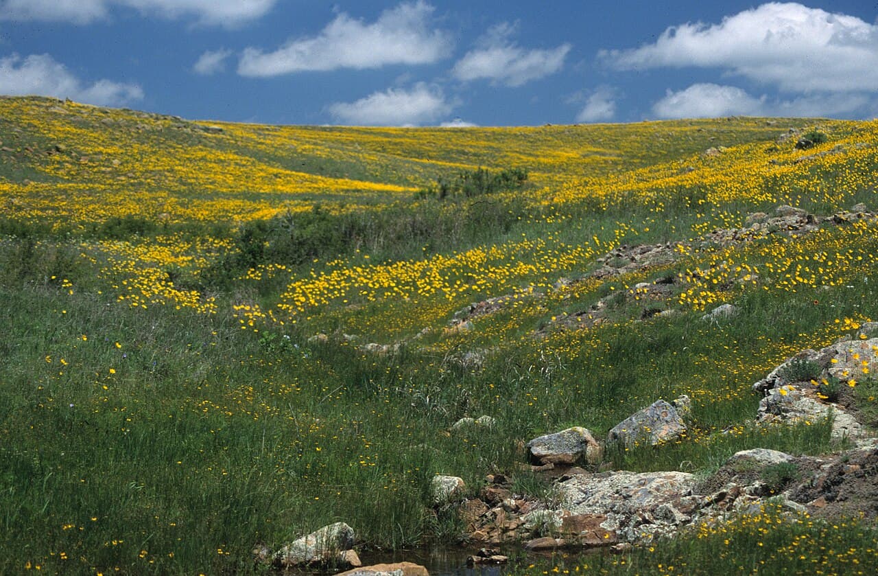 Wichita Mountains Wildlife Refuge