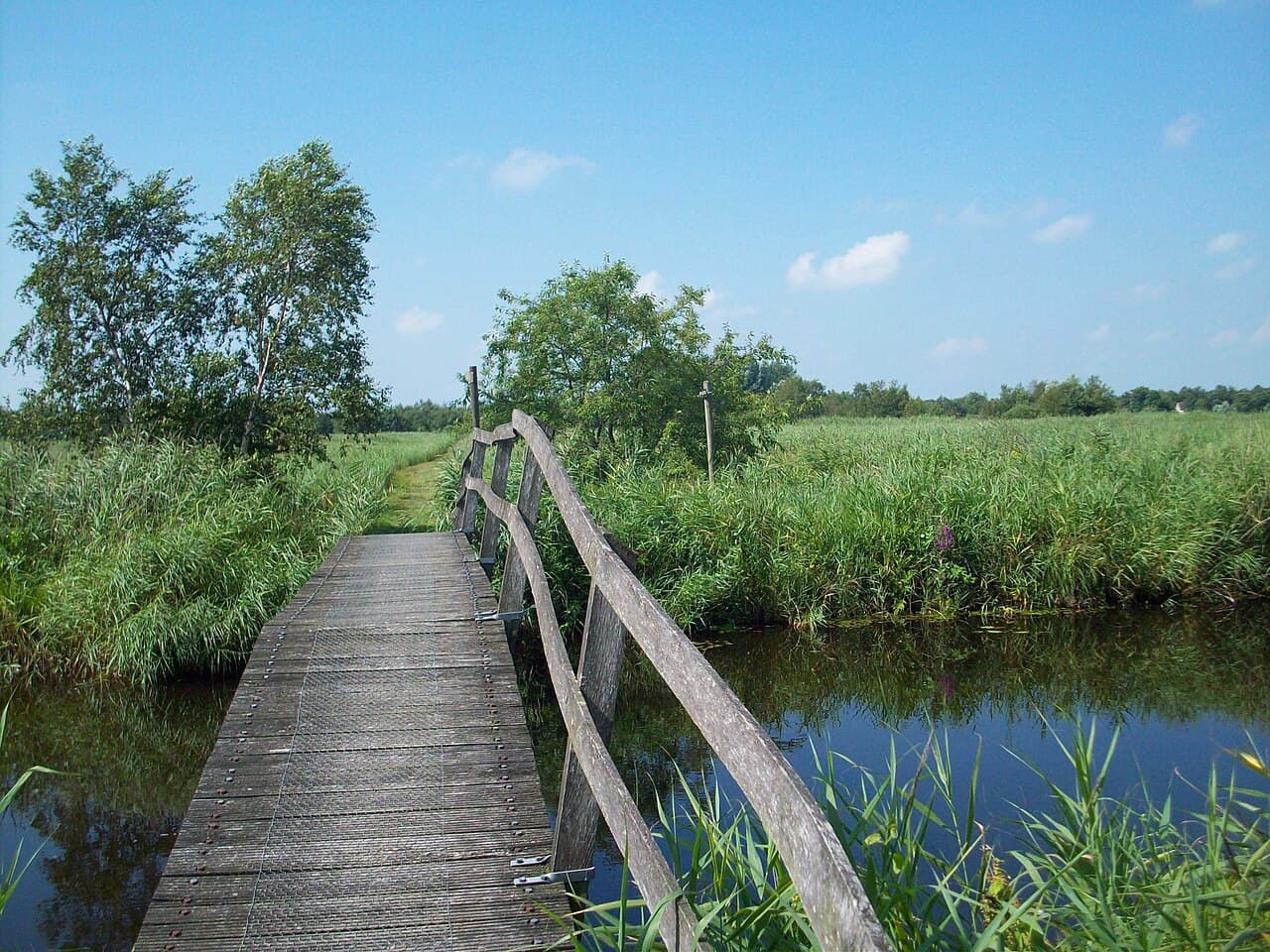 De Alde Feanen National Park