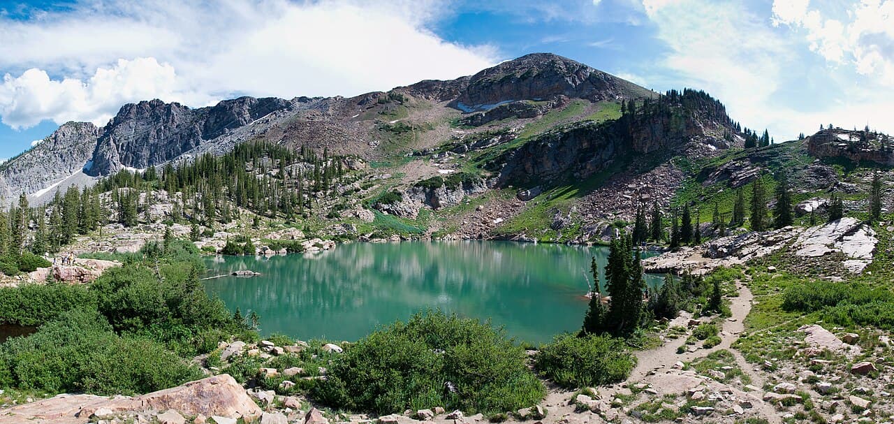 Wasatch-Cache National Forest