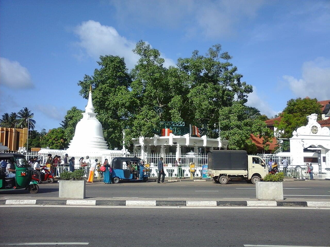 Matara Bodhiya (Sacred Bo Tree)