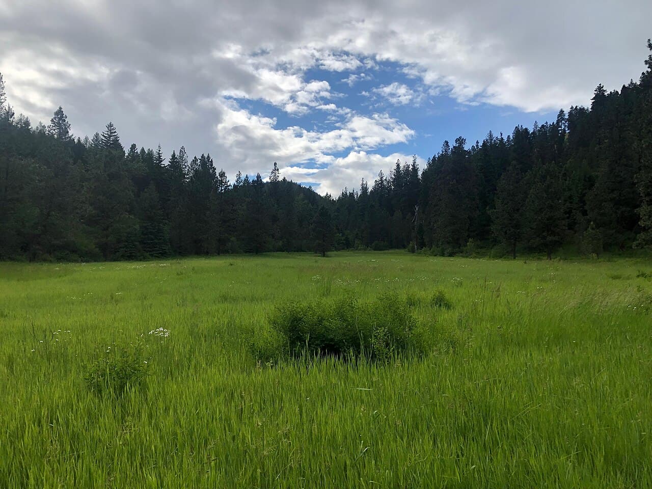Rattlesnake National Recreation Area