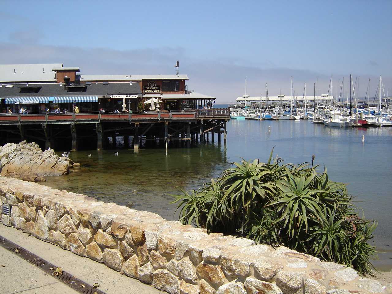 Fisherman's Wharf