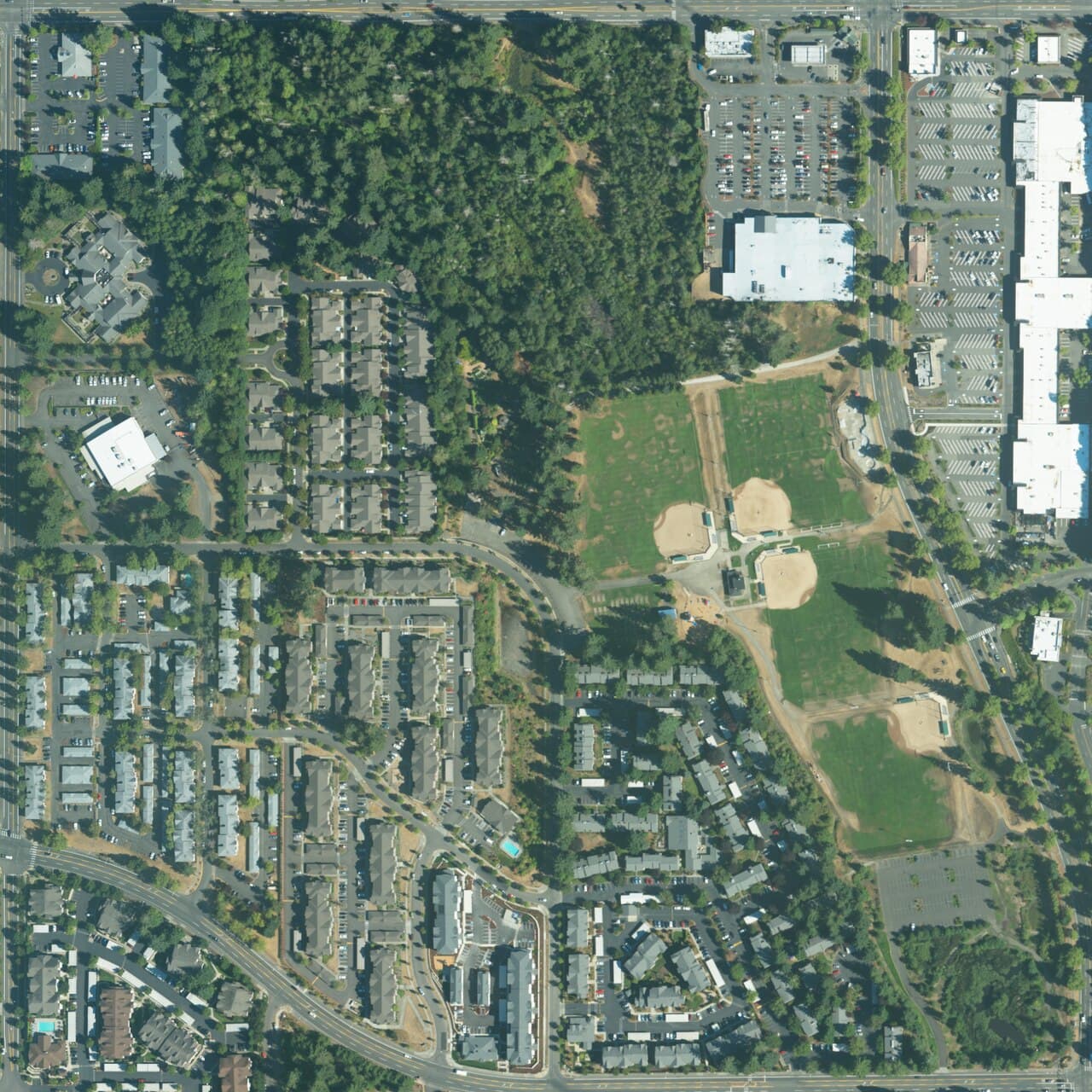 Yauger Park
