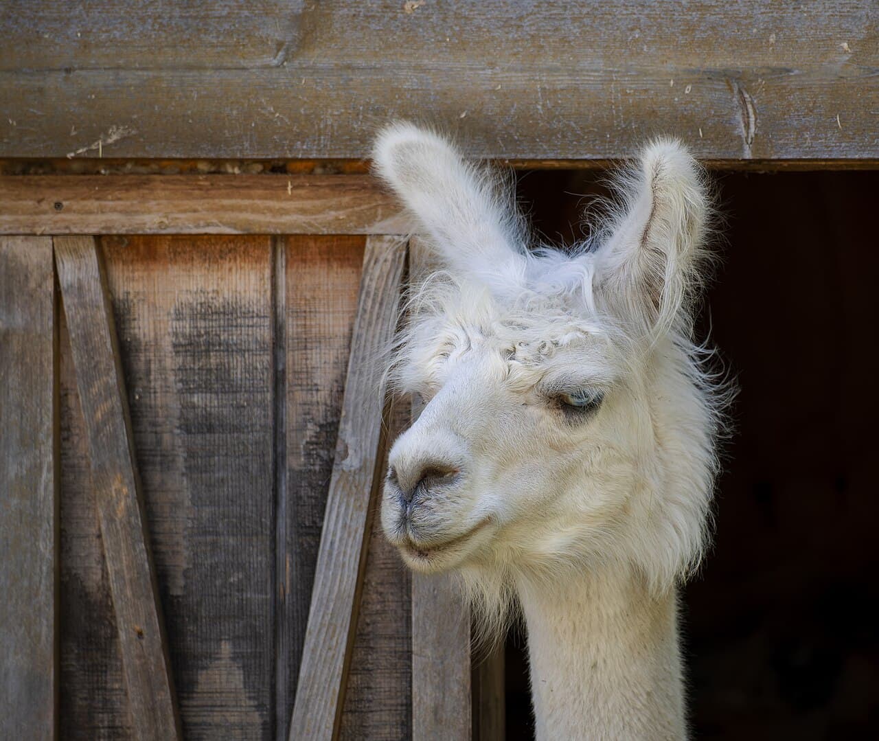 Menominee Park Zoo