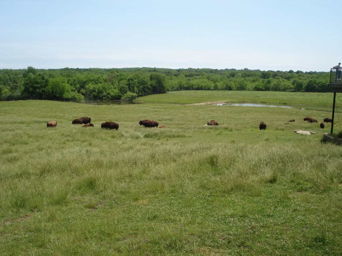 Wildlife Prairie Park
