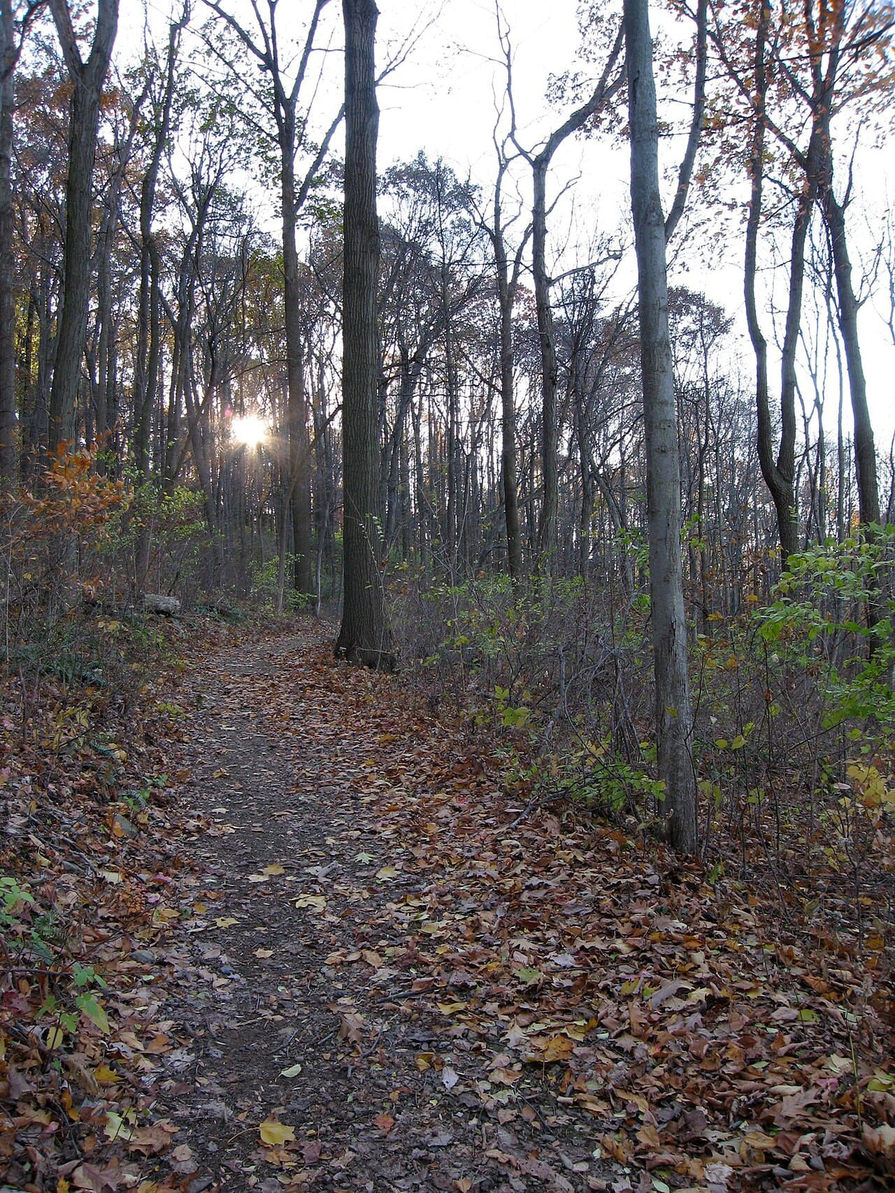Nolde Forest Environmental Education Center