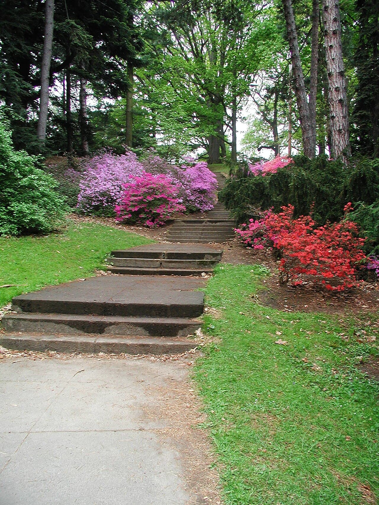 Highland Park