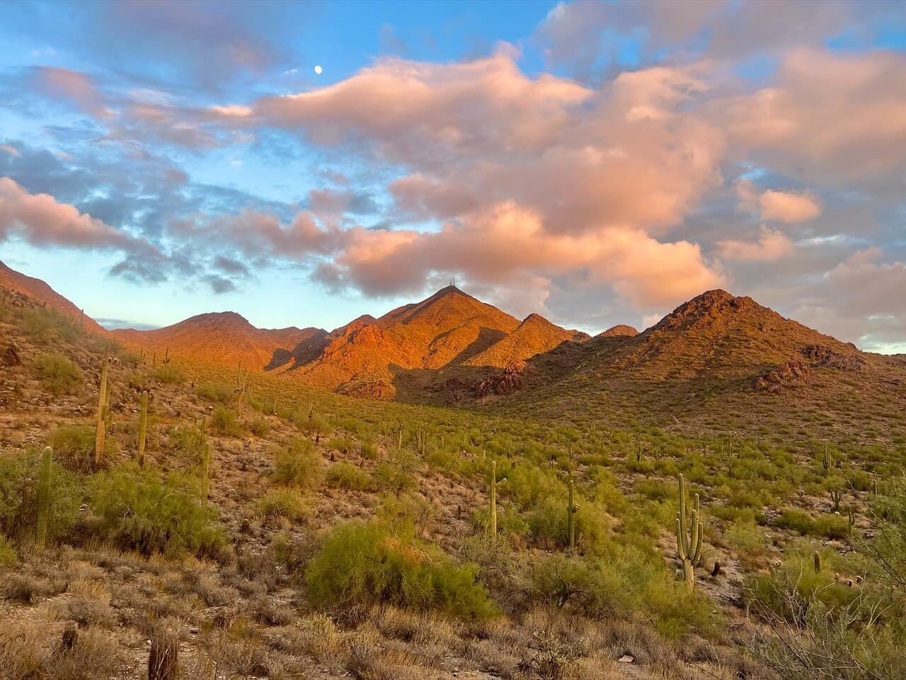 McDowell Sonoran Preserve