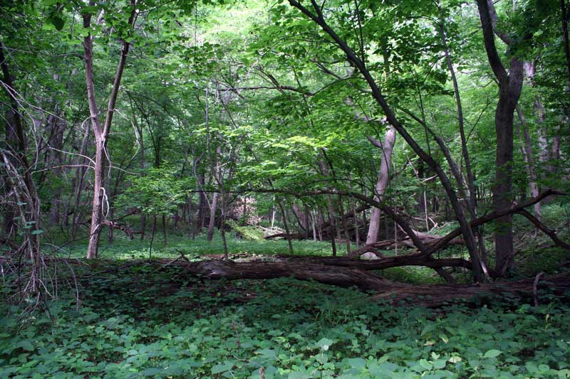 Stone State Park