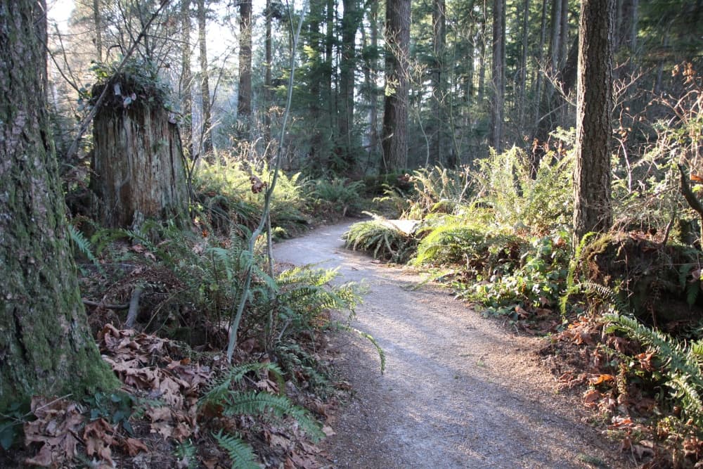 Green Timbers Urban Forest Park