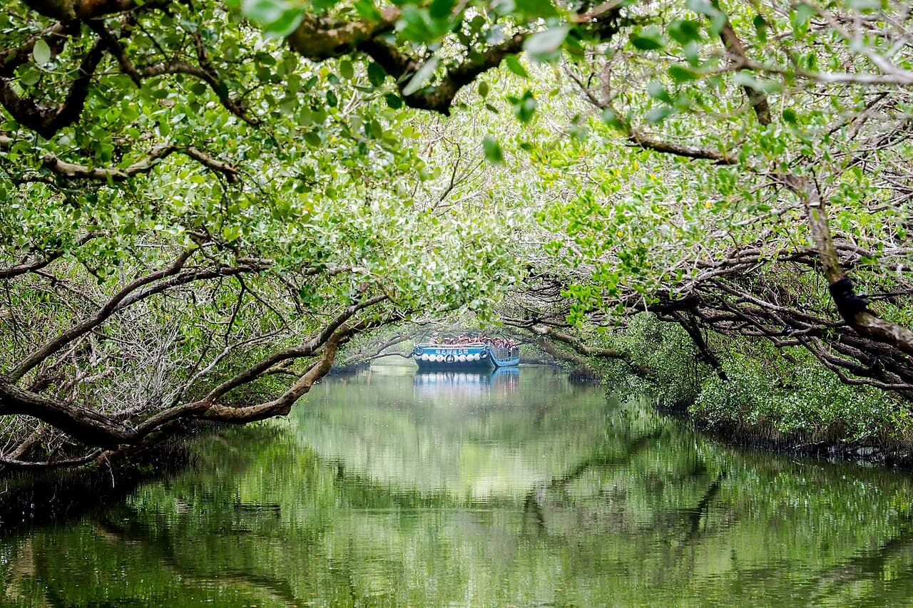 Taijiang National Park