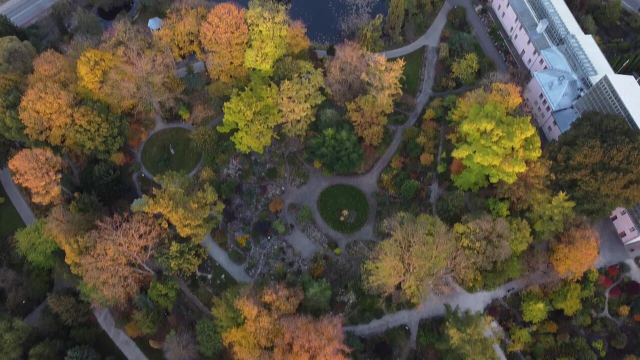 University of Tartu Botanical Garden