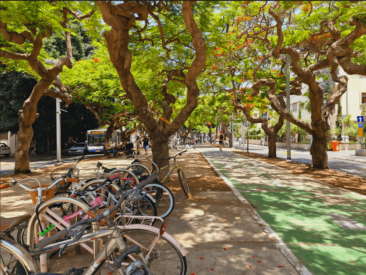 Rothschild Boulevard