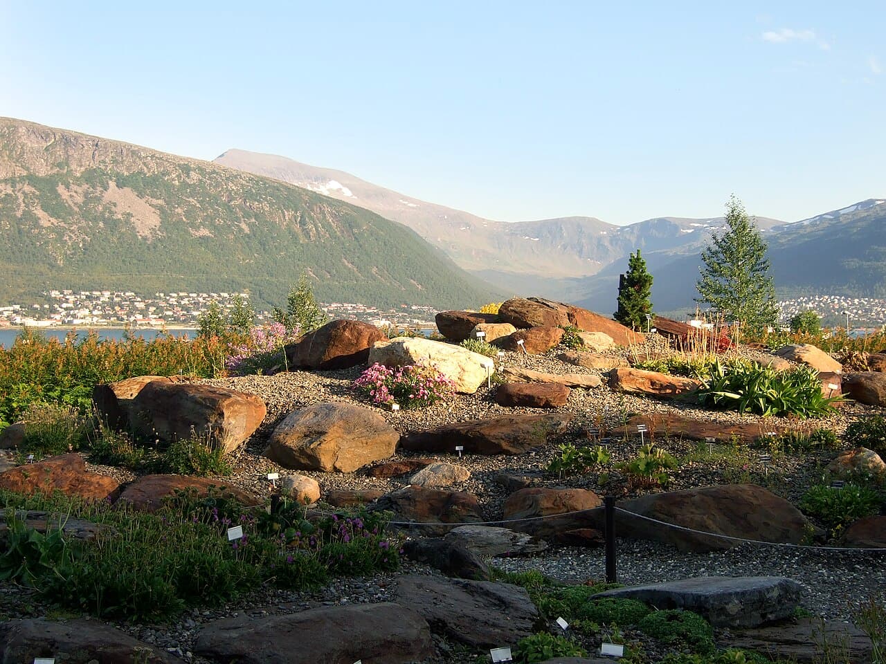 Arctic-Alpine Botanic Garden