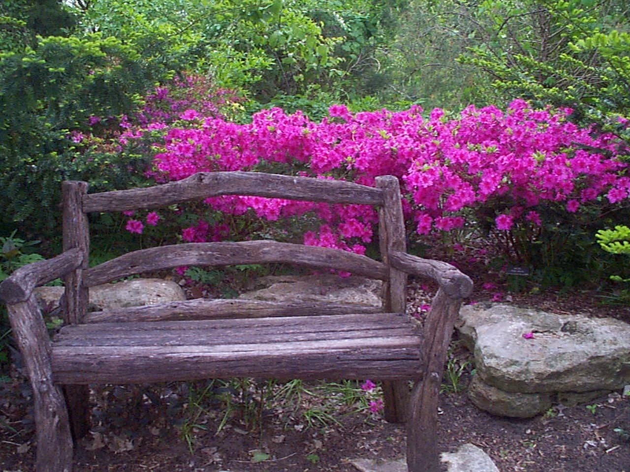 Botanica: The Wichita Gardens