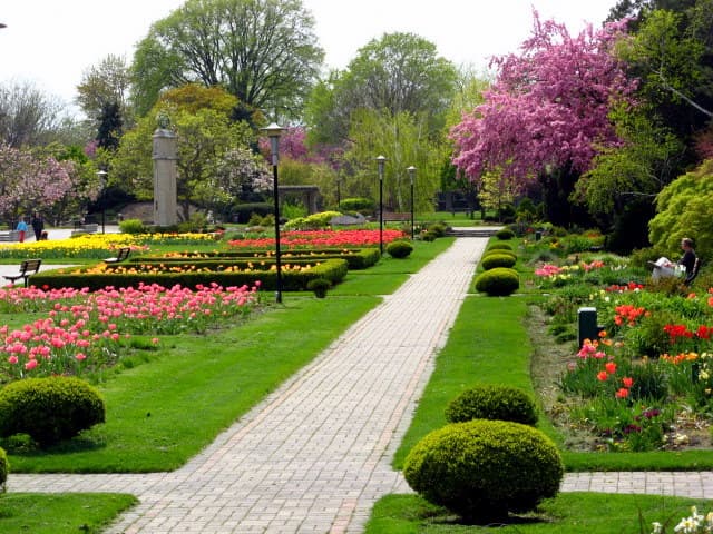 Jackson Park