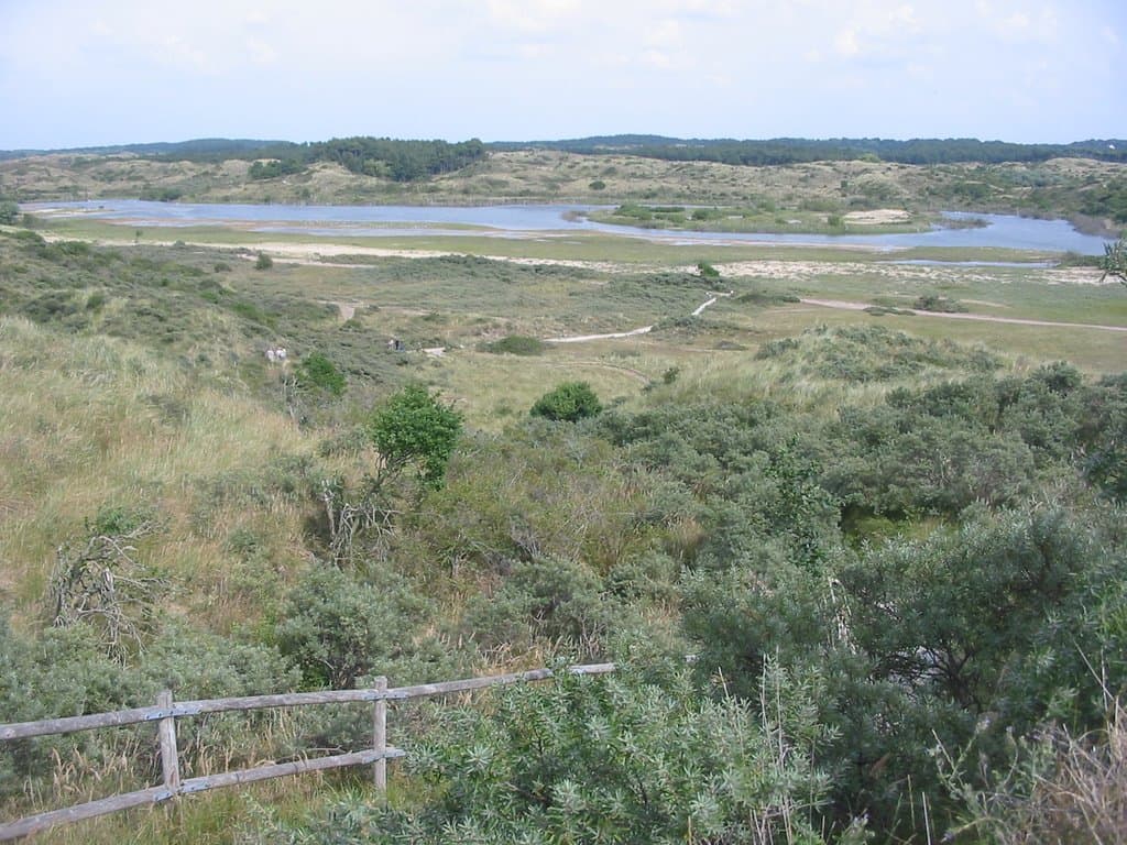Zuid-Kennemerland National Park